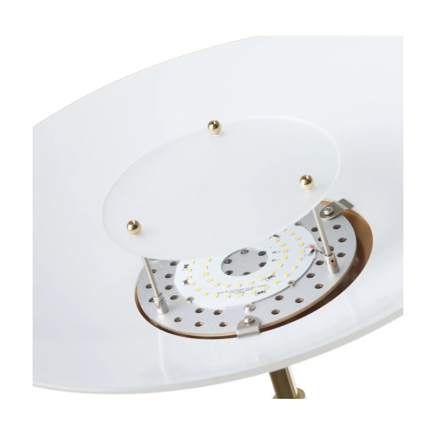 Paul Neuhaus 655-60 - Piantana LED dimmerabile ALFRED LED/28W/230V+LED/4W/230V ottone