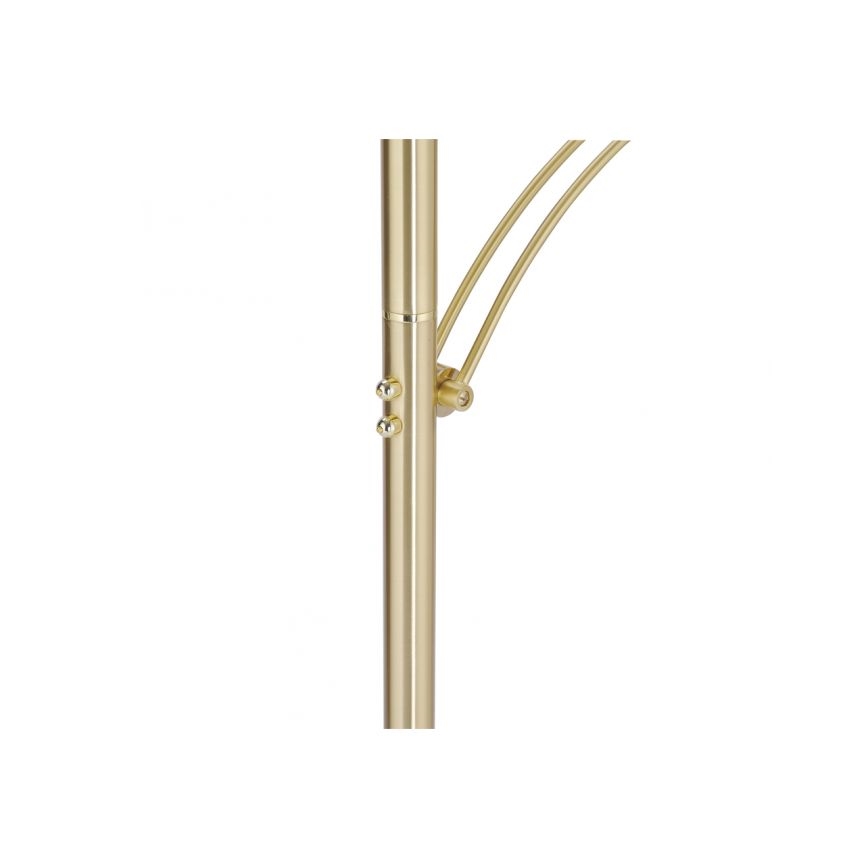 Paul Neuhaus 673-60 - Lampada da terra dimmerabile a LED ARTUR 2xLED/21W/230V+LED/6W dorata