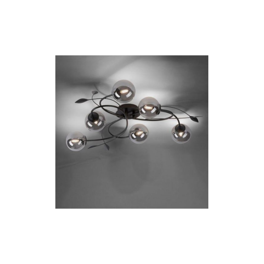 Paul Neuhaus 6737-18 - Lampadario da parete LED WIDOW 6xG9/3W/230V