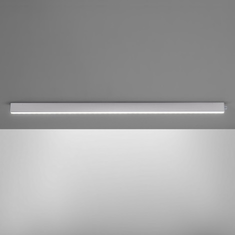 Paul Neuhaus 8233-95 - Lampada sottopensile LED dimmerabile SNAKE 1xLED/22W/230V