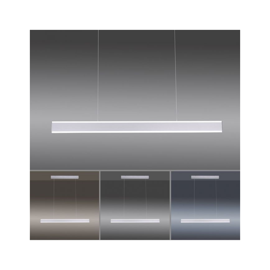 Paul Neuhaus 8363-55 - Lampadario LED dimmerabile su filo con sensore ARINA LED/20W/230V