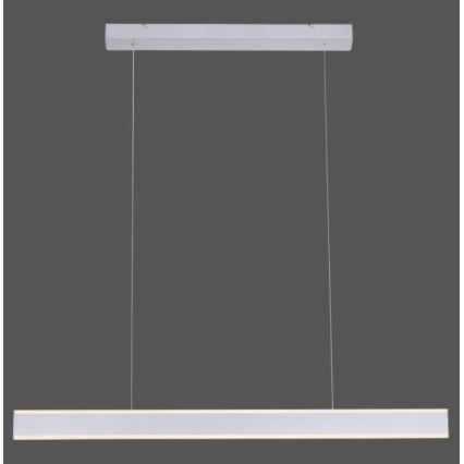 Paul Neuhaus 8363-55 - Lampadario LED dimmerabile su filo con sensore ARINA LED/20W/230V