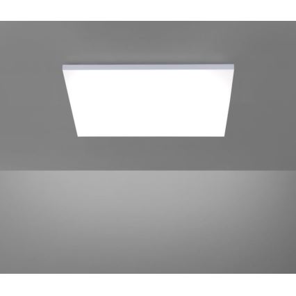 Paul Neuhaus 8492-16 - Pannello LED dimmerabile da superficie FRAMELESS LED/35W/230V + telecomando