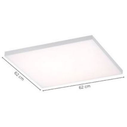 Paul Neuhaus 8492-16 - Pannello LED dimmerabile da superficie FRAMELESS LED/35W/230V + telecomando