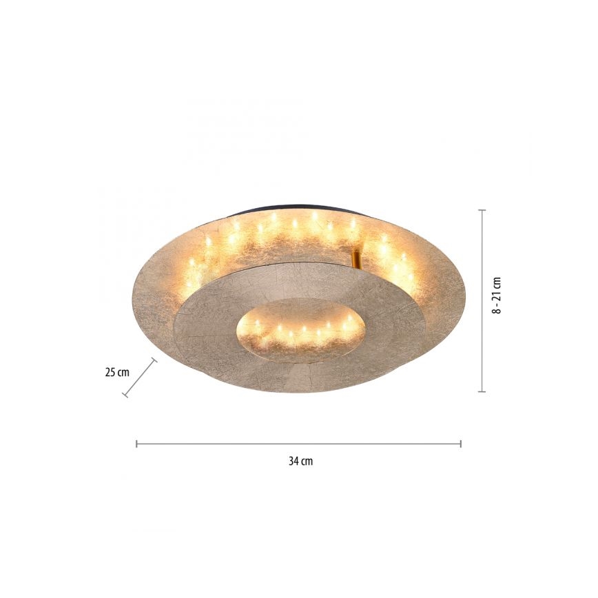 Paul Neuhaus 9011-12 - Plafoniera LED NEVIS LED/6W/230V oro