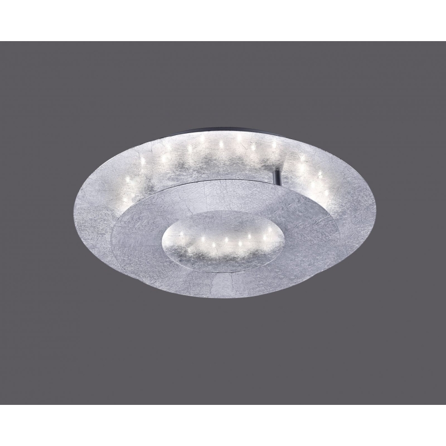 Paul Neuhaus 9011-21 - Plafoniera LED NEVIS LED/6W/230V argento