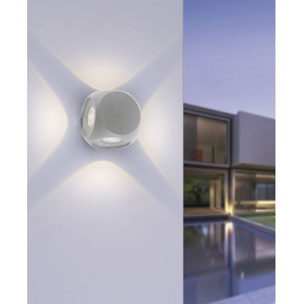 Paul Neuhaus 9485-21 - Applique LED da esterno CARLO 4xLED/0,8W/230V IP54