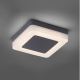 Paul Neuhaus 9491-13 - Lampada LED da esterno FABIAN LED/12,6W/230V IP54