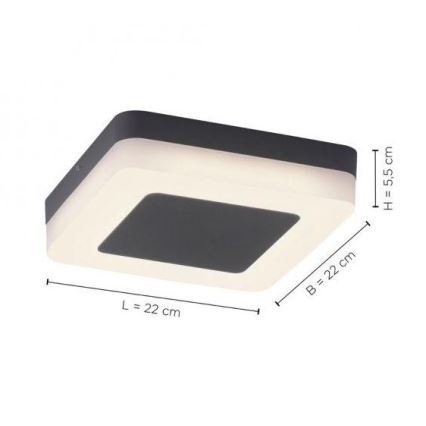 Paul Neuhaus 9491-13 - Lampada LED da esterno FABIAN LED/12,6W/230V IP54