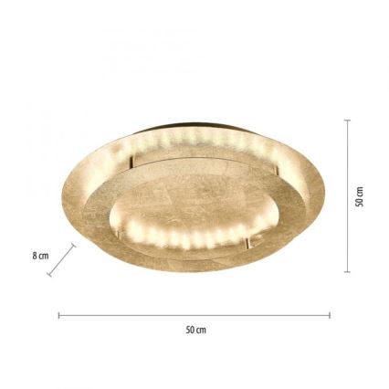 Paul Neuhaus 9621-12 -  Plafoniera LED NEVIS LED/24W/230V