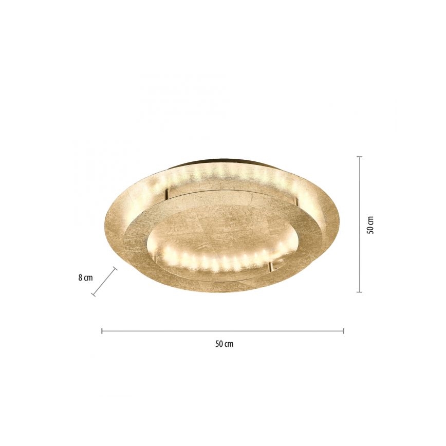 Paul Neuhaus 9621-12 -  Plafoniera LED NEVIS LED/24W/230V