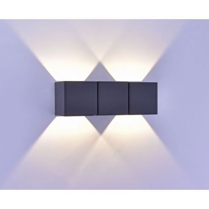 Paul Neuhaus 9658-13 - Applique LED da esterno MARCEL 2xLED/4W/230V IP54
