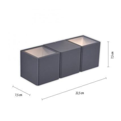 Paul Neuhaus 9658-13 - Applique LED da esterno MARCEL 2xLED/4W/230V IP54