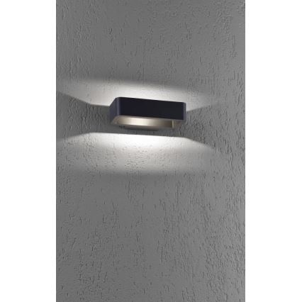 Paul Neuhaus 9668-13 - Applique da esterno LED HENDRIK LED/5,2W/230V IP54