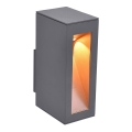 Paul Neuhaus 9693-13 - Applique a LED da esterno JUSTIN LED/7W/230V IP44