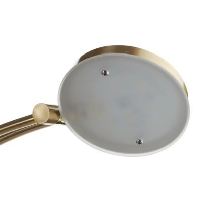 Paul Neuhaus - 655-60 - Lampada LED da terra dimmerabile ALFRED 1xLED/28W/230V+1xLED/4W/230V ottone