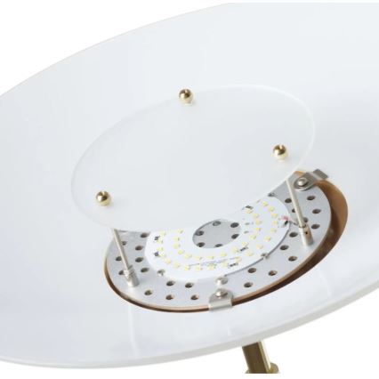 Paul Neuhaus - 655-60 - Lampada LED da terra dimmerabile ALFRED 1xLED/28W/230V+1xLED/4W/230V ottone