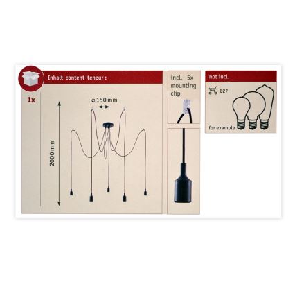 Paulmann 50389 - Lampadario a sospensione con filo NEORDIC 5xE27/20W/230V ragno