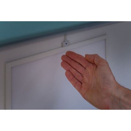 Paulmann 70807 - Pannello LED/8W Dimmerabile con sensore GLOW 24/230V