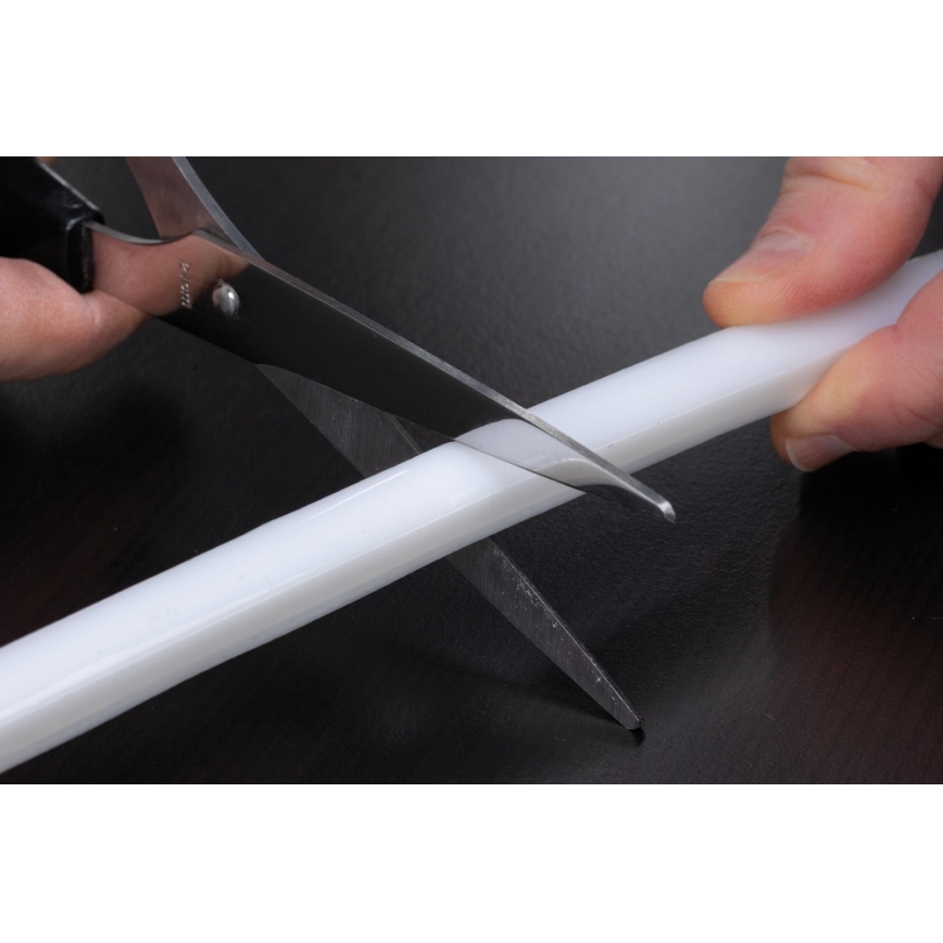 Paulmann 70966 - LED-RGB/27W IP67 Striscia dimmerabile da esterno FLOW 3m 230/24V