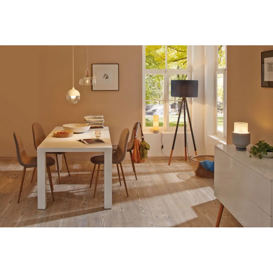 Paulmann 79633 - 1xE27/20W Lampada con piedistallo RURIK 230V