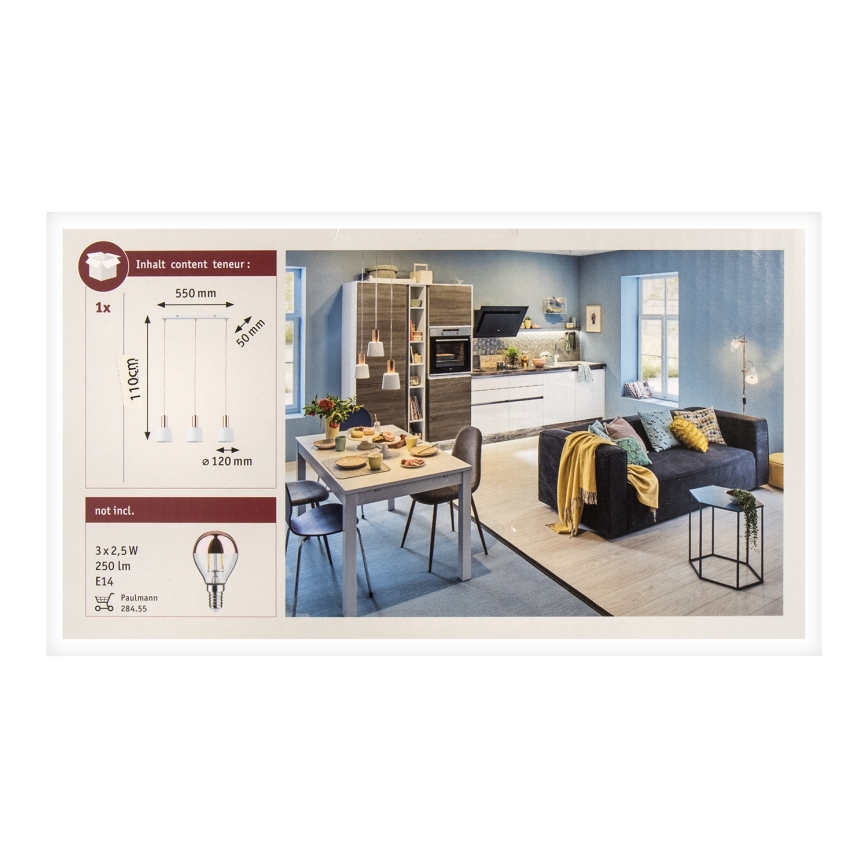Paulmann 79657 - 3xE14/20W Lampadario a sospensione con filo NEORDIC HALDAR 230V