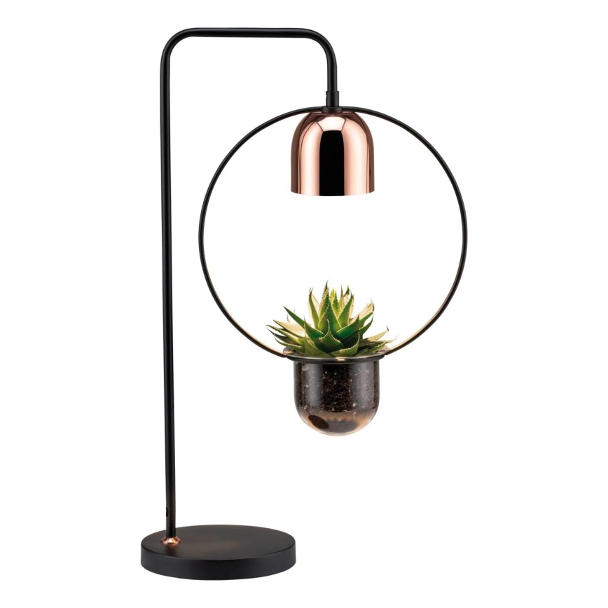Paulmann 79746 - 1xGU10/20W Lampada da tavolo FANJA 230V fumé