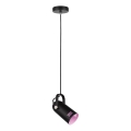 Paulmann 79766 - 1xE27/15W Lampada a sospensione su cavo LAVEA 230V nero
