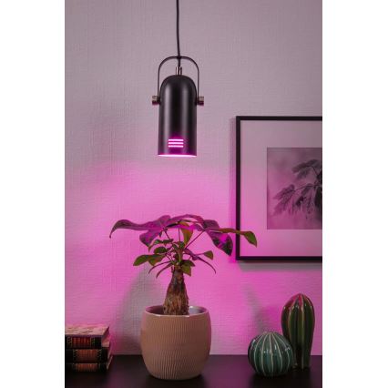 Paulmann 79766 - LED RGBW 1xE27/9W Lampada a sospensione con cavo LAVEA 230V nero