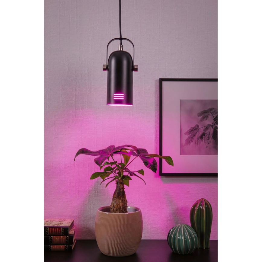 Paulmann 79766 - LED RGBW 1xE27/9W Lampada a sospensione con cavo LAVEA 230V nero