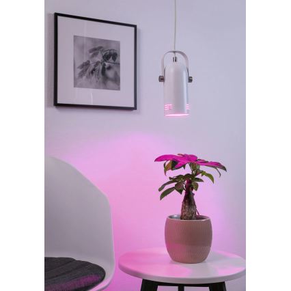 Paulmann 79767 - 1xE27/15W Lampadario a sospensione con cavo LAVEA 230V bianco