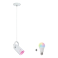 Paulmann 79767 - LED RGBW 1xE27/9W Lampada a sospensione su cavo LAVEA 230V bianco