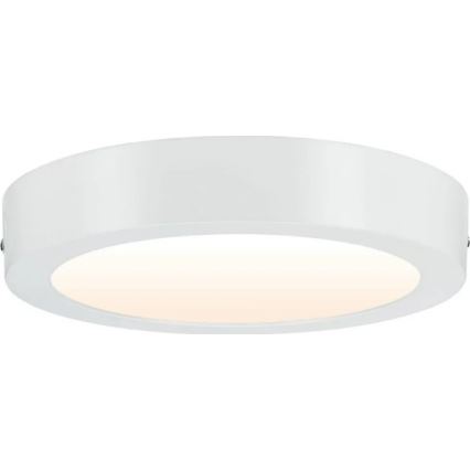 Paulmann 79794 - Plafoniera LED/13W CARPO 230V 2300/2500/3000K