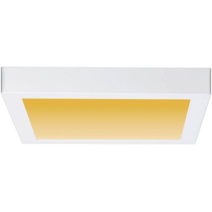 Paulmann 79801 - Plafoniera LED/13W CARPO 230V 2300/2500/3000K