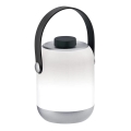 Paulmann 94210 - Lampada LED/1,6W IP44 per esterni dimmerabile CLUTCH 3,7V 2000 mAh