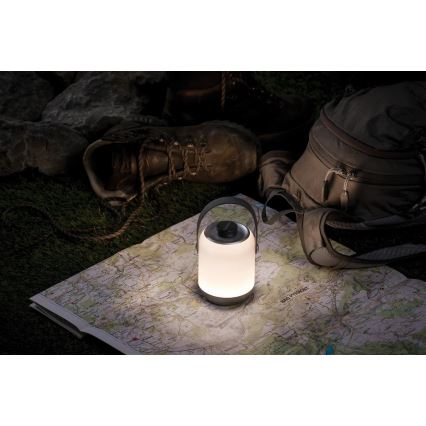 Paulmann 94210 - Lampada LED/1,6W IP44 per esterni dimmerabile CLUTCH 3,7V 2000 mAh