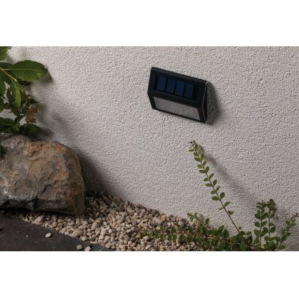 Paulmann 94234 - LED/0,05W IP44 Lampada solare da esterno con sensore DAYTON 1,2V 400 mAh