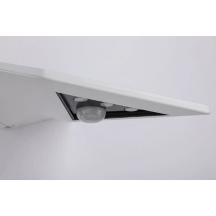Paulmann 94244 - Applique solare da parete LED/1,2W IP44 con sensore YOKO 3,7V 1800 mAh bianca