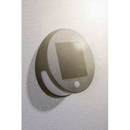 Paulmann 94265 - LED/3W IP44 Lampada solare da esterno con sensore HELENA 3,7V 1800 mAh