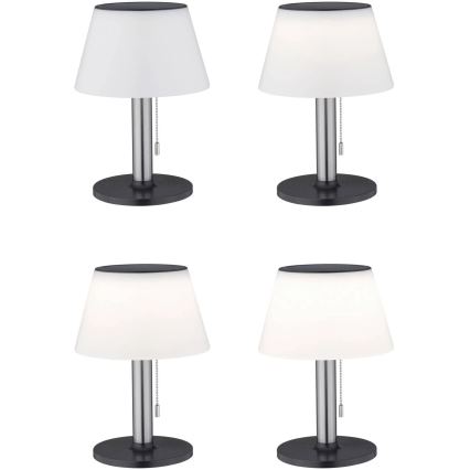 Paulmann 94309 - Lampada solare LED/0,8W IP44 dimmerabile LILLESOL 3,7V 2000 mAh