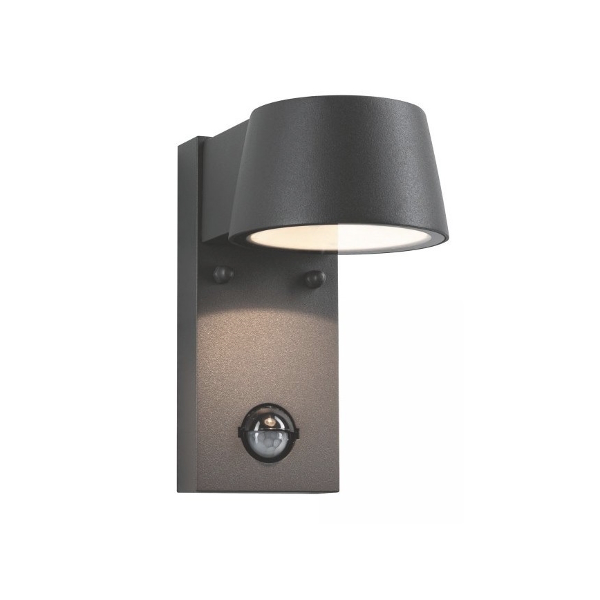 Paulmann 94453 - LED/6W IP44 Applique da esterno con sensore CAPEA 230V