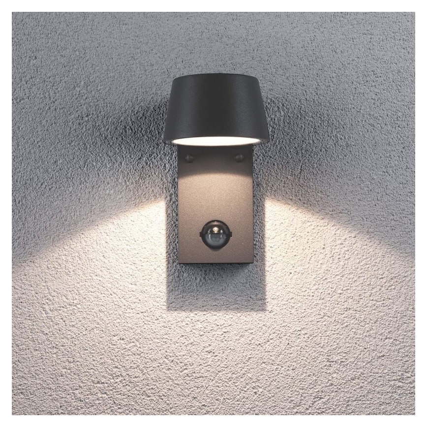 Paulmann 94453 - LED/6W IP44 Applique da esterno con sensore CAPEA 230V