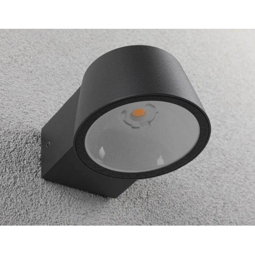 Paulmann 94713 - LED/6W IP44 Applique da esterno CAPERA 230V