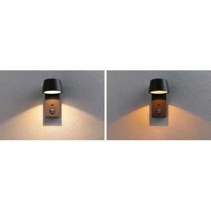 Paulmann 94714 - LED/6W IP44 Applique da esterno con sensore CAPERA 230V 2200/3000K