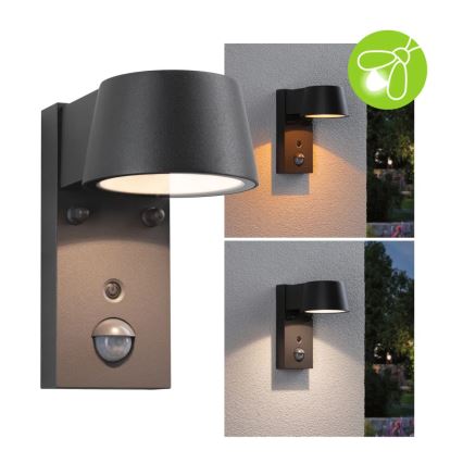 Paulmann 94714 - LED/6W IP44 Applique da esterno con sensore CAPERA 230V 2200/3000K