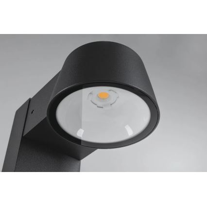Paulmann 94715 - LED/6W IP44 Lampada da esterno CAPERA 230V