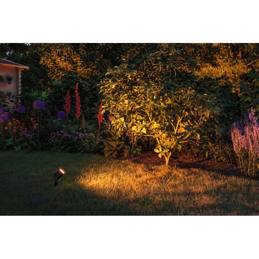 Paulmann 94731 - Lampada da esterno LED/4,3W IP65 SPOT 230V