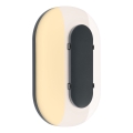 Paulmann 94957 - LED/18,5W IP65 Applique da esterno dimmerabile ELUNOR 230V 2200/3000/4000K antracite