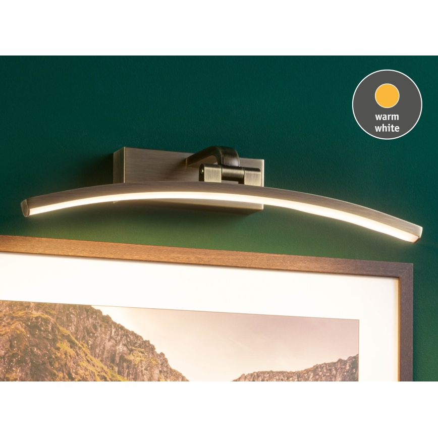 Paulmann 95560 - LED/8,5W Lampada per quadri BENTO 230V 40 cm ottone