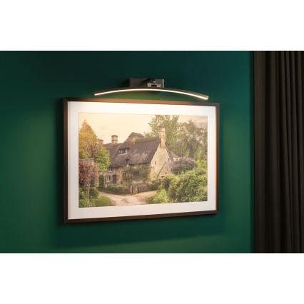 Paulmann 95561 - LED/10W Lampada per quadri BENTO 230V 50 cm ottone